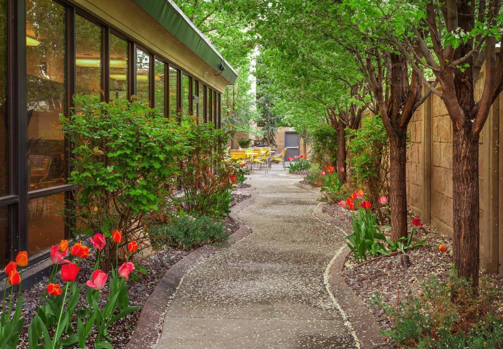 Courtyard By Marriott Salt Lake City Downtown Eksteriør bilde